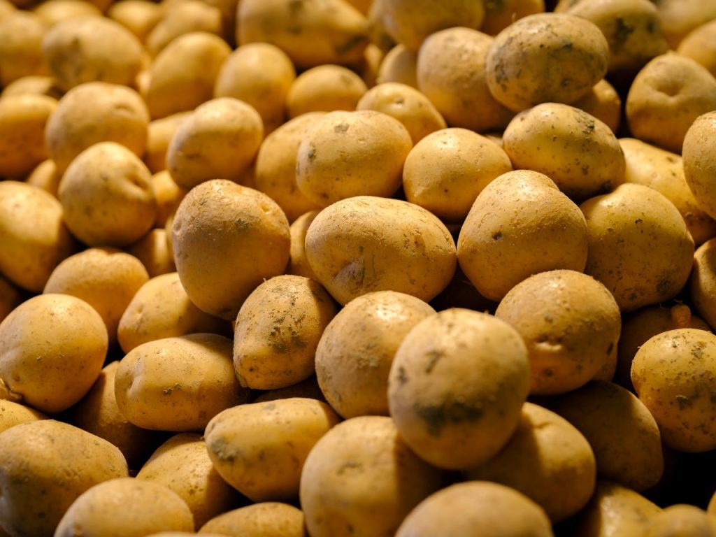 Close-up view of fresh yellow potatoes stacked together, ideal for food and abundance themes.